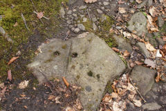 
Lasgarn Railroad sleepers, March 2009